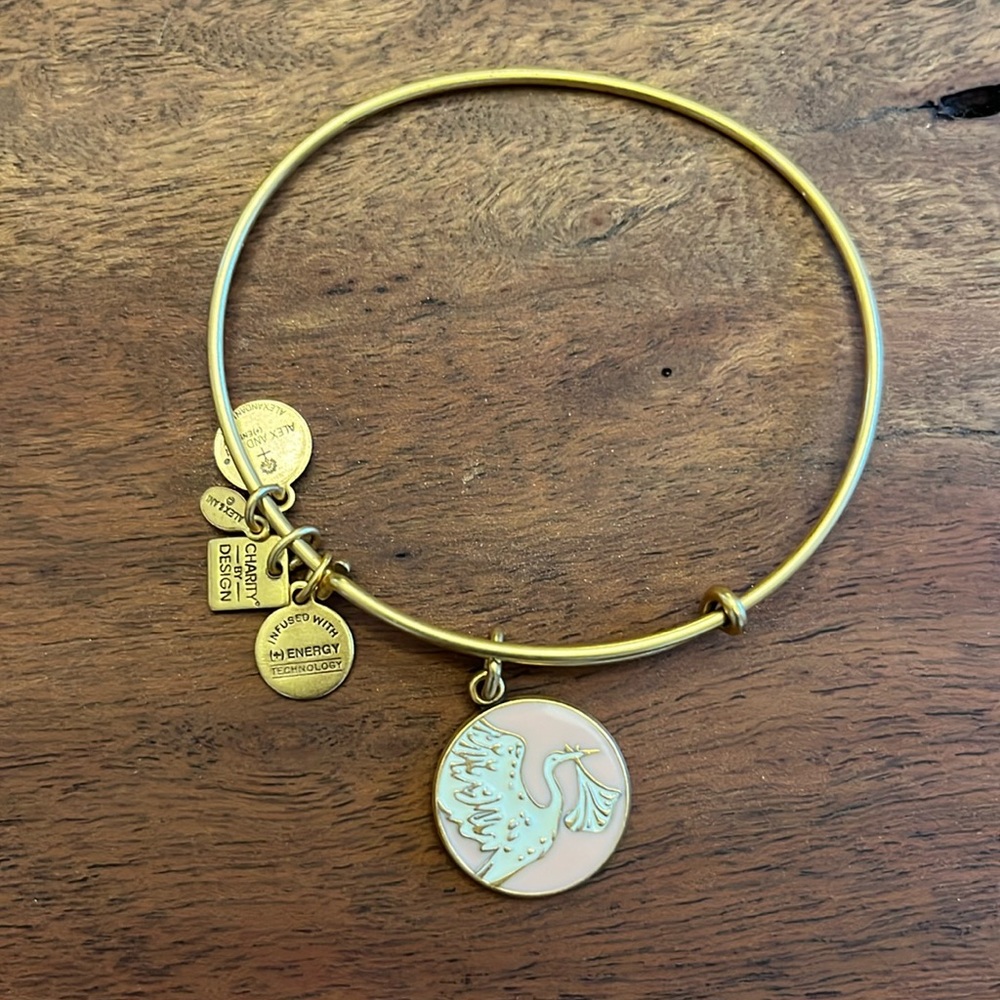 Alex and Ani Special Delivery Baby Girl Gold Bangle Bracelet